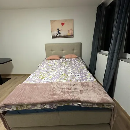 Guest house Ferien 9 Rosenheim